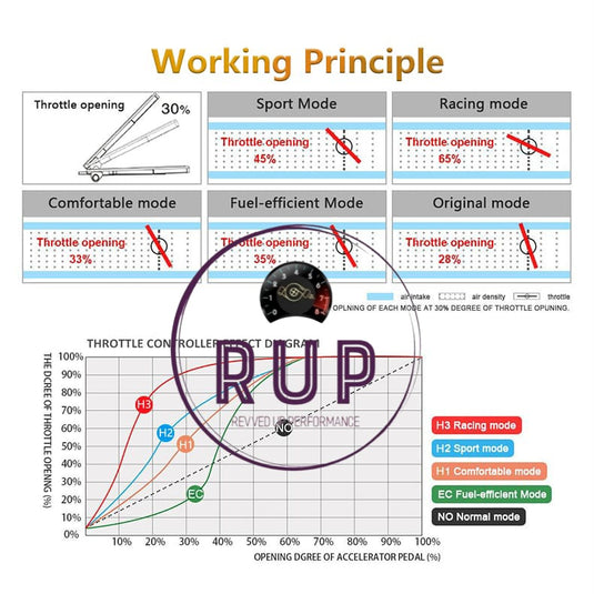 RUP 12-Drive Electronic Throttle Controller Accelerator Pedal with LOCK Function (PRE ORDER ONLY)
